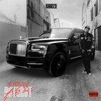Hot Shot: Gangsta Grillz (CD)