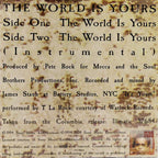 The World Is Yours (7")