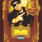 Pimpalation, 20th Anniversary (Cassette)