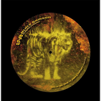 Black Samson, The Bastard Swordsman, Dubai Exclusive Picture Disc Tour Edition (LP)
